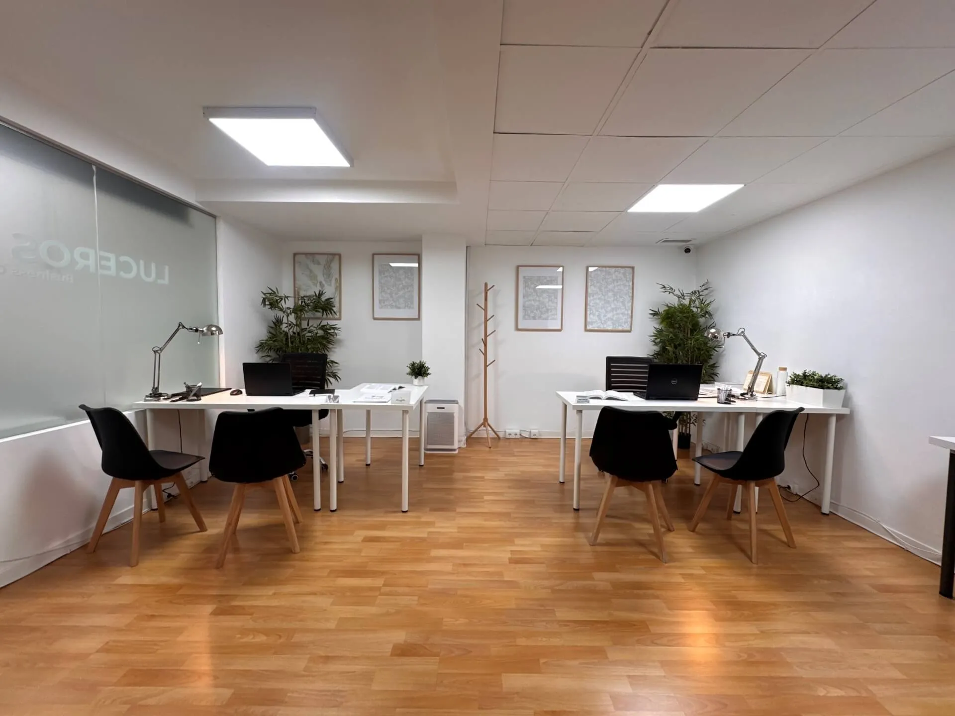 Alquiler de Salas en el centro de Alicante image 2